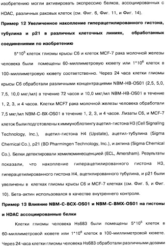 Соединения коричной кислоты (варианты), промежуточные соединения для их получения, фармацевтическая композиция на их основе, способ ингибирования гистоновой деацетилазы, способ лечения диабета, способ лечения опухоли или заболевания, связанного с пролиферацией клеток, способ усиления роста аксонов и способ лечения нейродегенеративных заболеваний и спинной мышечной атрофии (патент 2492163)