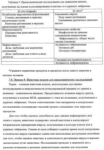 Способы и композиции для экспрессии антисмысловой вирусной рнк в клетках собаки (патент 2457250)