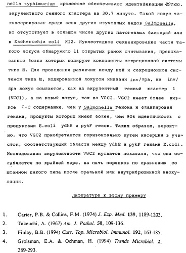 Vgc2 днк salmonella typhimurium, мутантная бактерия, обладающая пониженной способностью к адаптации к условиям окружающей среды, и способ ее получения (патент 2370541)