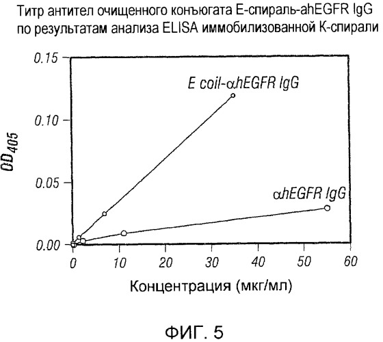 Использование уреазы для ингибирования роста раковых клеток (патент 2326691)