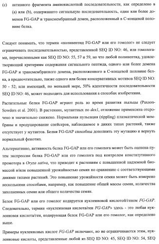 Растения, имеющие улучшенные характеристики роста, и способы их получения (патент 2463352)