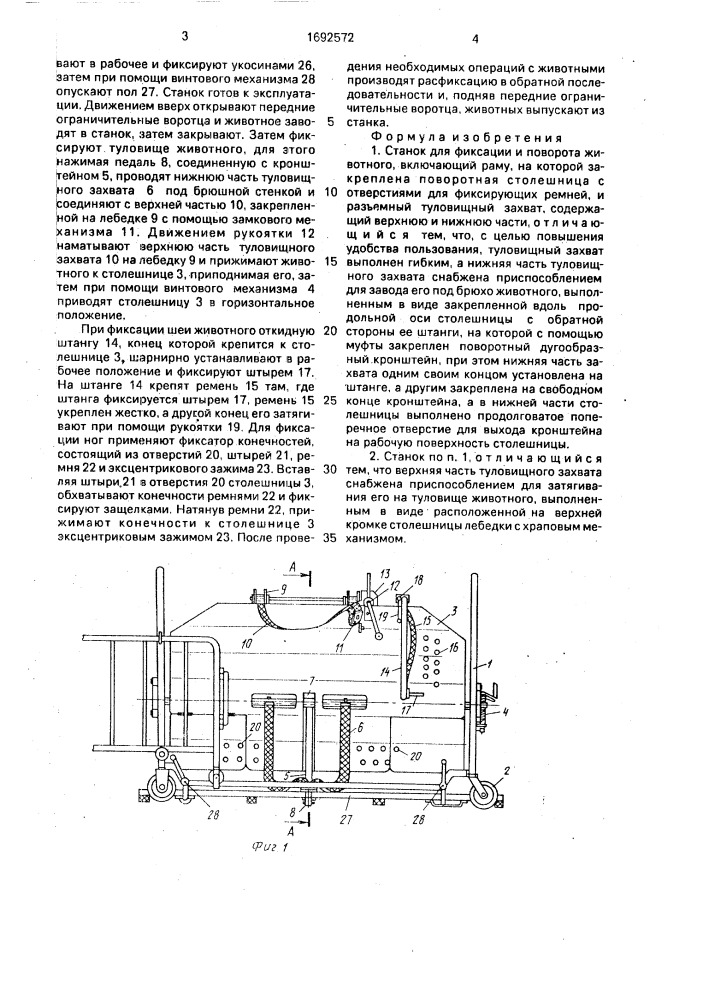 Станок для фиксации и поворота животного (патент 1692572)