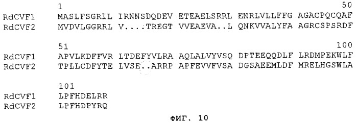 Протеин, связанный с заболеванием (патент 2384586)