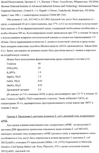 Способ получения l-аминокислот с использованием бактерии, принадлежащей к роду escherichia, в которой инактивирован один или несколько генов, кодирующих малые рнк (патент 2395567)