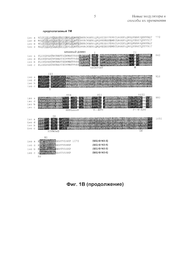 Новые модуляторы и способы их применения (патент 2627176)