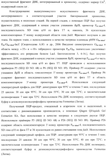 Бактерия - продуцент 1-бутанола и способ получения 1-бутанола (патент 2431672)
