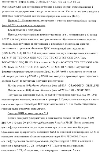 Вирусоподобные частицы, включающие гибридный белок белка оболочки бактериофага ар205 и антигенного полипептида (патент 2409667)