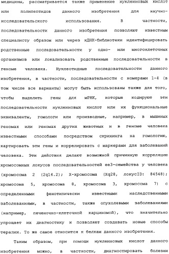 Ее3-семейство белков и соответствующие днк-последовательности (патент 2333918)