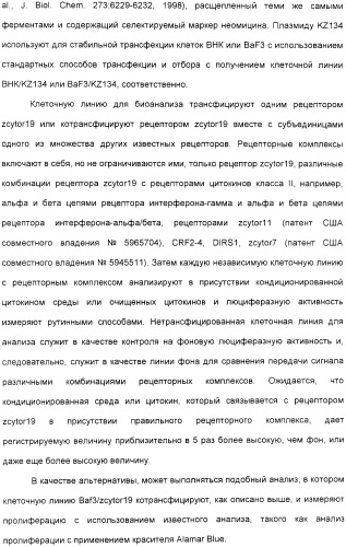 Выделенный полипептид, обладающий антивирусной активностью (варианты), кодирующий его полинуклеотид (варианты), экспрессирующий вектор, рекомбинантная клетка-хозяин, способ получения полипептида, антитело, специфичное к полипептиду, и фармацевтическая композиция, содержащая полипептид (патент 2321594)