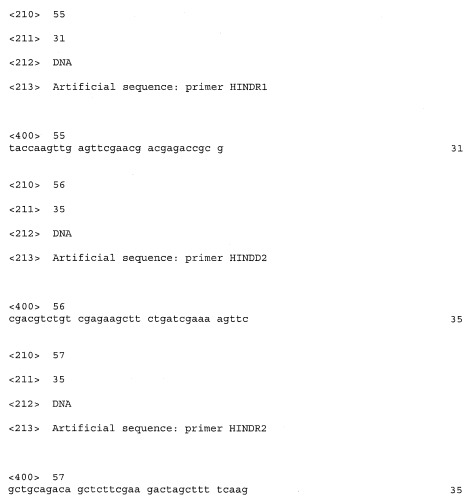 Новая эндо-(1-4)- -d-ксиланаза из penicillium canescens (варианты), фрагмент днк, кодирующий секретируемую эндо-(1-4)- -d-ксиланазу из penicillium canescens (варианты), и способ ее получения (патент 2412246)