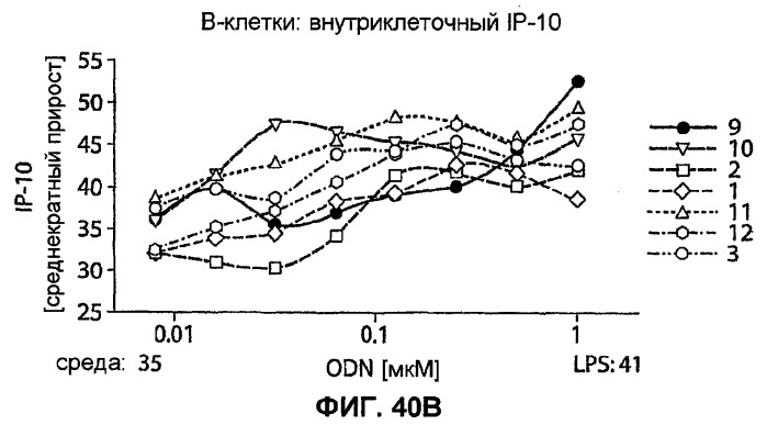 Полумягкие иммуностимулирующие олигонуклеотиды с-класса (патент 2393223)