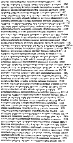 Модуляция экспрессии гентингтина (патент 2562861)