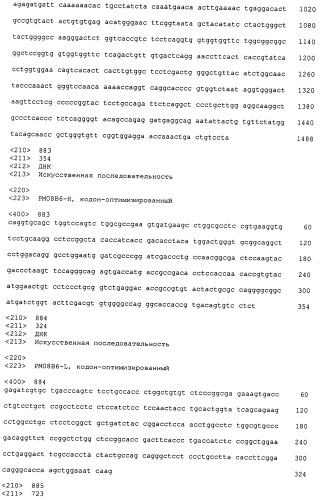 Psma×cd3 биспецифическое одноцепочечное антитело с межвидовой специфичностью (патент 2559531)