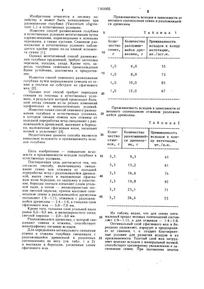 Способ семенного размножения голубики @ @ @ в естественных условиях (патент 1161005)