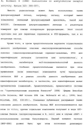 Ее3-семейство белков и соответствующие днк-последовательности (патент 2333918)