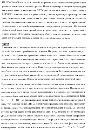 Растения, имеющие улучшенные характеристики роста, и способы их получения (патент 2463352)