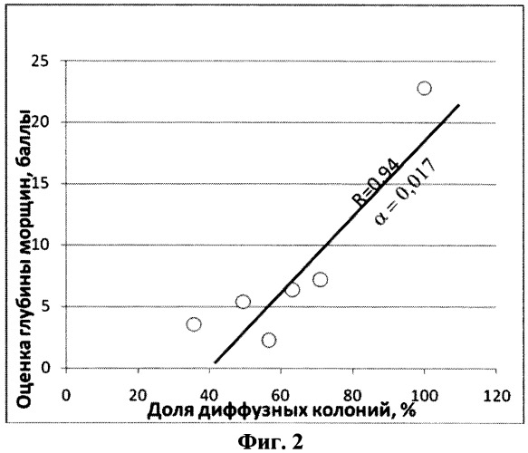 Способ диагностики состояния кожи пациента (варианты) (патент 2466680)