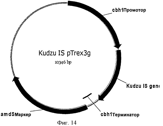 Топливные композиции, содержащие производные изопрена (патент 2531623)