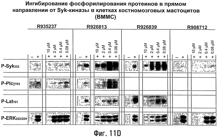 Способы лечения или профилактики аутоиммунных заболеваний с помощью соединений 2,4-пиримидиндиамина (патент 2491071)