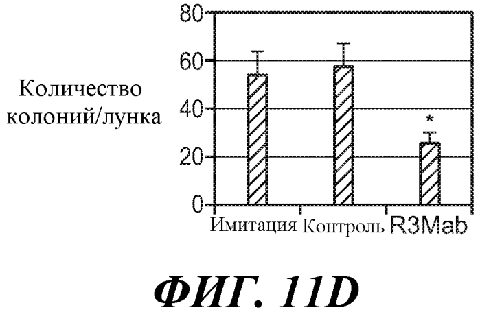 Антитела против fgfr3 и способы их применения (патент 2568066)