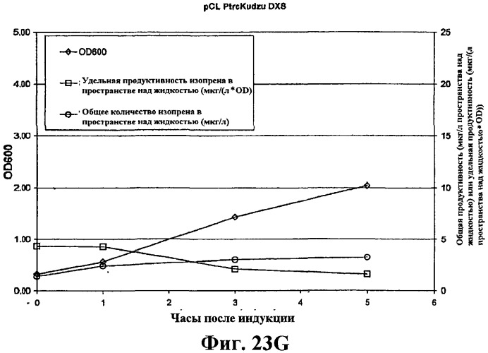 Композиции и способы получения изопрена (патент 2545699)