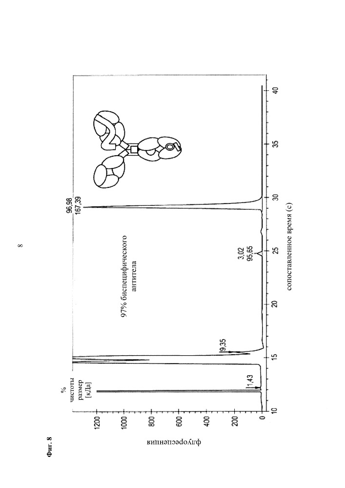 Разделение биспецифических антител и побочных продуктов процесса получения биспецифических антител с применением гидроксиапатитной хроматографии (патент 2652911)