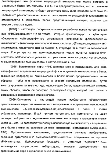 Генетически кодируемые флюоресцентные кумариновые аминокислоты (патент 2473690)