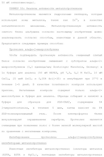 Слитые белки альбумина (патент 2369404)