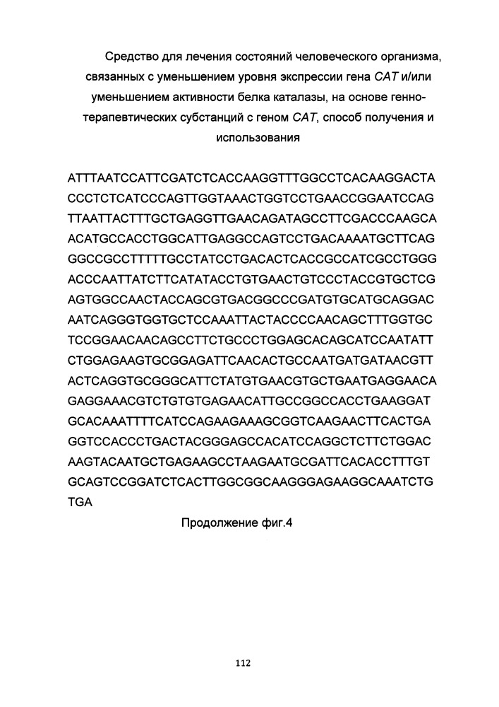 Средство для лечения состояний человеческого организма, связанных с уменьшением уровня экспрессии гена сат и/или уменьшением активности белка каталазы на основе генно-терапевтических субстанций с геном сат, способ получения и использования (патент 2649814)