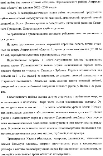 Способ прогнозирования семенной продуктивности солодки (патент 2364078)