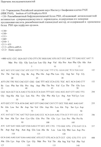 Рекомбинантный бифункциональный белок psh, обладающий антиоксидантной активностью супероксиддисмутазы и пероксидазы, кодирующая его химерная нуклеиновая кислота, рекомбинантный плазмидный вектор ее содержащий и применение белка psh при реперфузии сердца (патент 2534348)