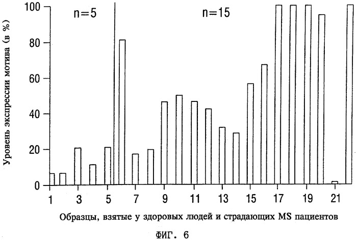 V-d-j олигонуклеотид т-клеточного рецептора, пара праймеров, олигонуклеотидный зонд, способ обнаружения клона mbp83-99v13.1 т-клеток, экспрессирующих мотив lgraglty т-клеточного рецептора, набор, способ лечения аутоиммунного заболевания и способ его мониторинга (патент 2251552)