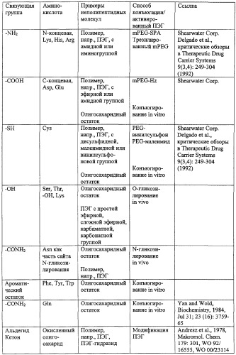 Конъюгаты g-csf (патент 2307126)