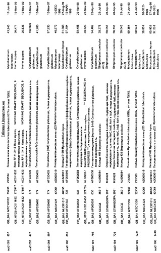 Гены corynebacterium glutamicum, кодирующие белки метаболических путей (патент 2306339)