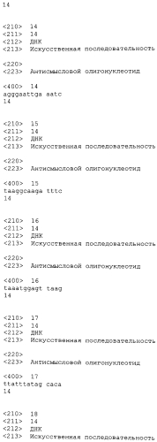 Лечение сиртуин 1 (sirt1)-связанных заболеваний путем ингибирования натурального антисмыслового транскрипта (патент 2551234)