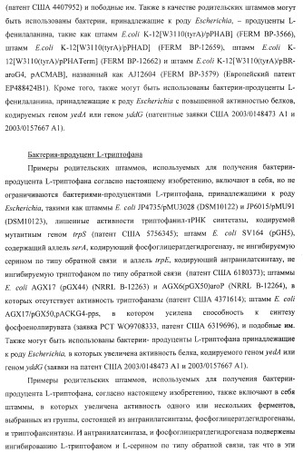 Способ получения l-треонина или l-аргинина с использованием бактерии, принадлежащей к роду escherichia, в которой инактивирован ген chac или оперон chabc (патент 2392327)