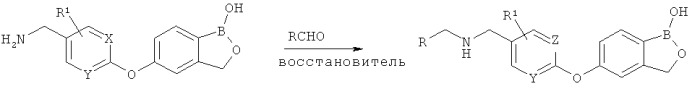 Борсодержащие малые молекулы в качестве противовоспалительных агентов (патент 2547441)