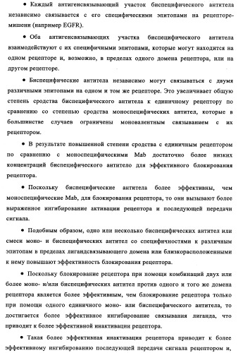 Биспецифические антитела к erb-b и их применение для лечения опухолей (патент 2349340)