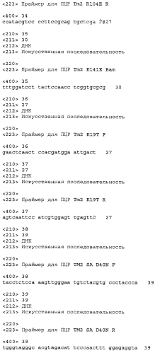 Модифицированный биотинсвязывающий белок (вариант), нуклеиновая кислота его кодирующая, вектор и носитель для связывания биотина (патент 2551233)
