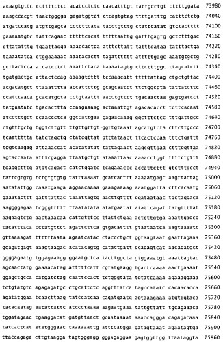 Применение s1p (патент 2362565)