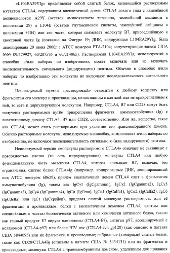 Способ лечения сердечно-сосудистого заболевания с применением растворимого ctla4 (патент 2353384)