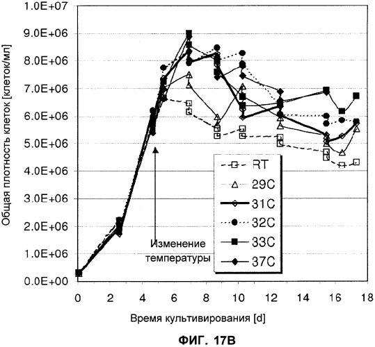Применение низкой температуры и/или низкого pн в культуре клеток (патент 2478702)