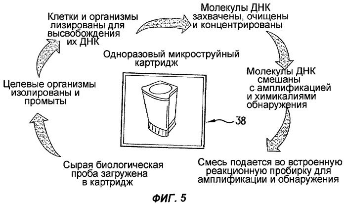 Система и способ обнаружения точечного источника биологического агента (патент 2316748)