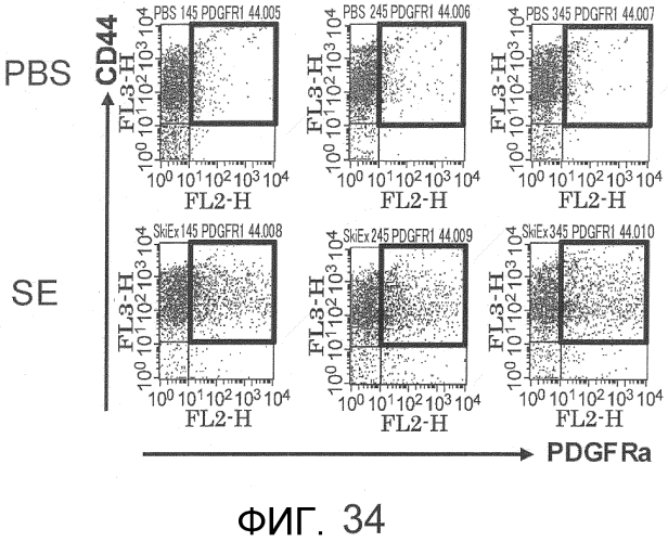 Способ сбора функциональных клеток in vivo с высокой эффективностью (патент 2571230)