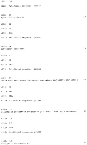 Способ получения l-треонина с использованием бактерии, принадлежащей к роду escherichia, обладающей усиленной экспрессией оперона fucpikur (патент 2318870)