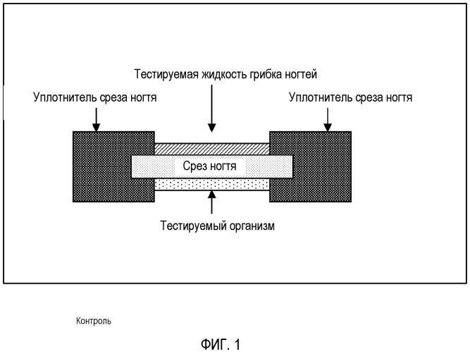 Композиция для лечения грибка ногтей (патент 2575774)