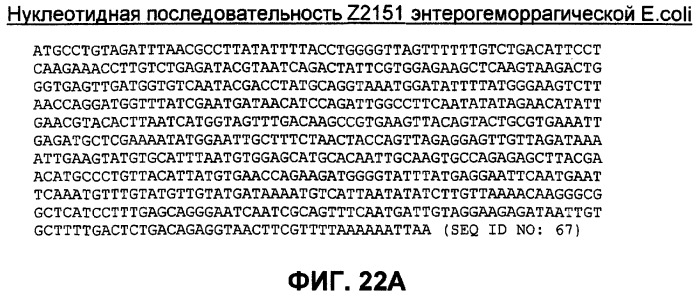 Бактериальные факторы вирулентности и варианты их применения (патент 2465331)