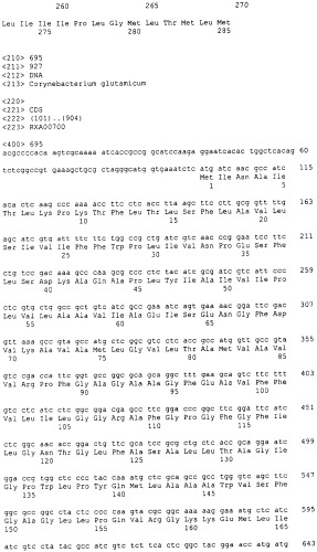 Гены corynebacterium glutamicum, кодирующие белки, участвующие в метаболизме углерода и продуцировании энергии (патент 2310686)