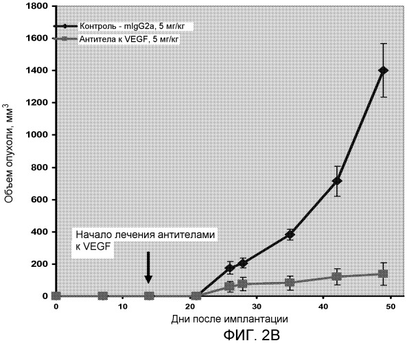 Композиции и способы для лечения опухоли (патент 2482877)