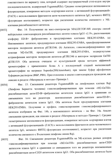 Конструкции слияния и их применение для получения антител с повышенными аффинностью связывания fc-рецептора и эффекторной функцией (патент 2407796)